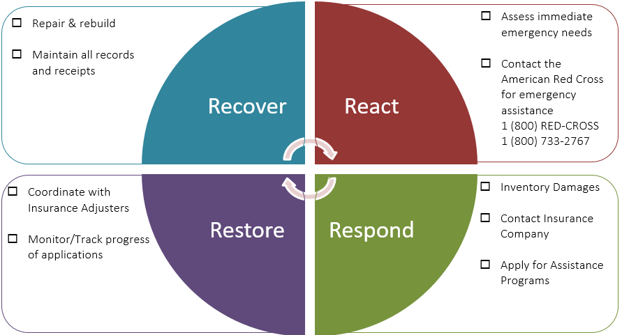 Individual Recovery Cycle